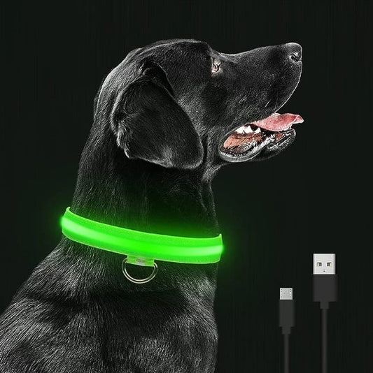 Collier lumineux pour chien rechargeable