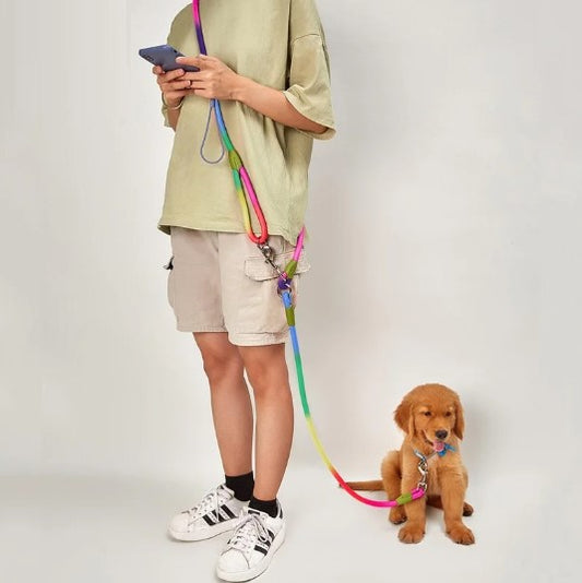 Multifunction leash - hands free