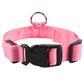 Rechargeable light-up dog collar