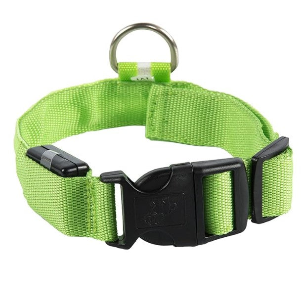 Rechargeable light-up dog collar